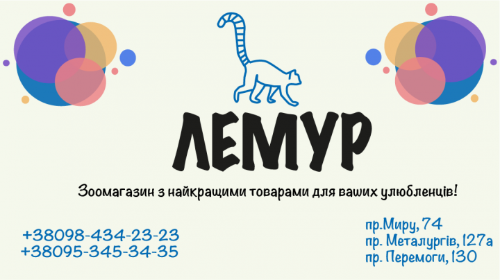 Визитка