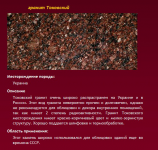 для сайта http://www.kvarcitpro.ru