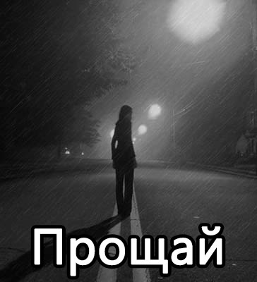 Прощай