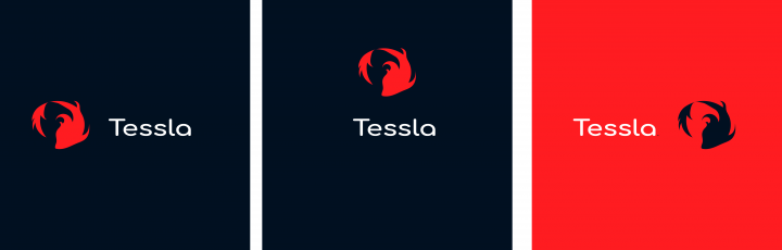Логотип Tessla