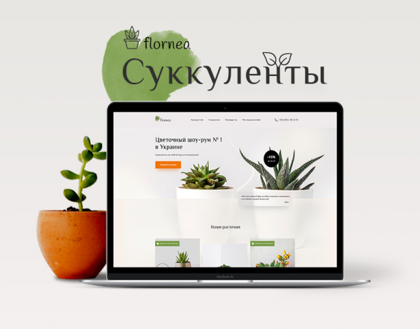 Flornea фирма-производитель суккулентов и плотоядных растений