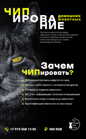 Баннер для ветклиники