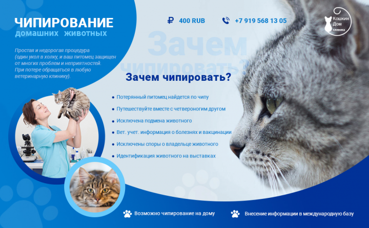 Баннер для ветклиники