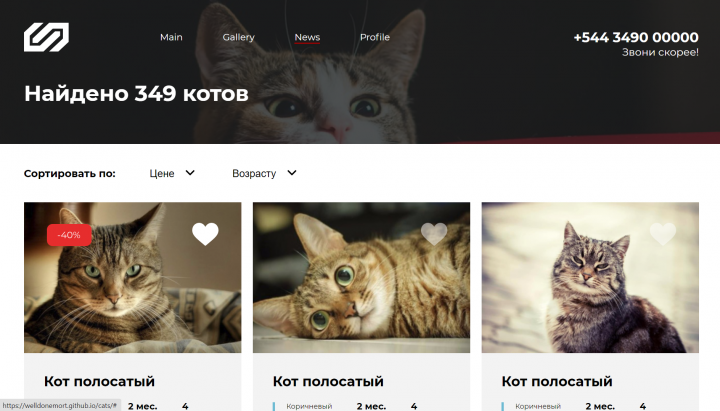 Cats Website