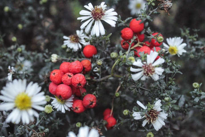 Работа 3762786