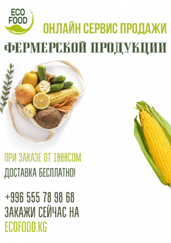 Флаер для магазина-эко продукции