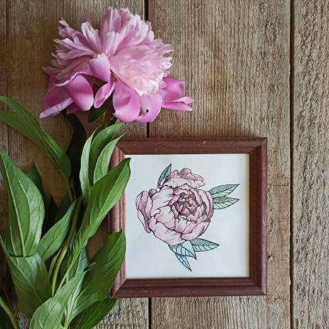 Графика пион