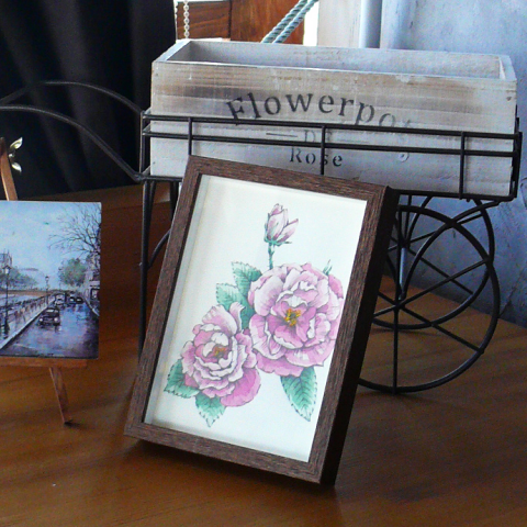 Графика плетистая роза