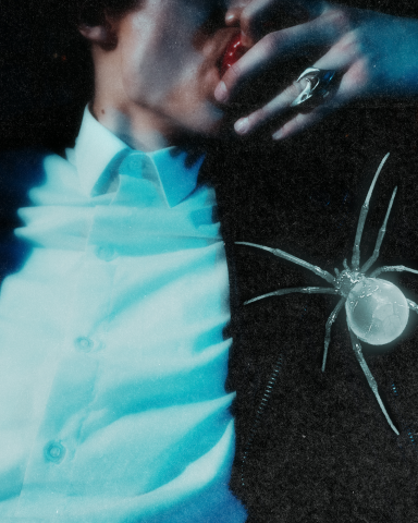 Spider
