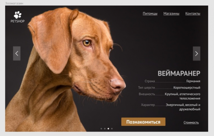 Лeндинг страница 2.0