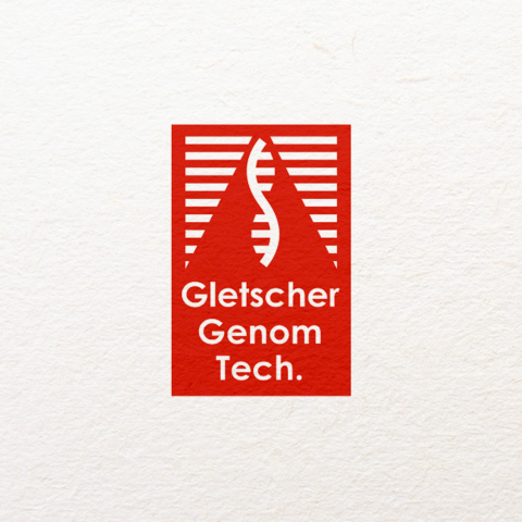 Логотип высокотехнологичного горнолыжного курорта