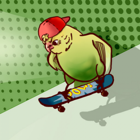 Попугай на скейтборде