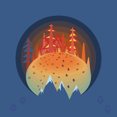 Пожары в сибири