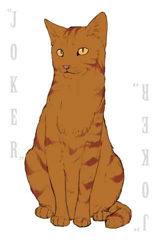 Рыжий карточный кот