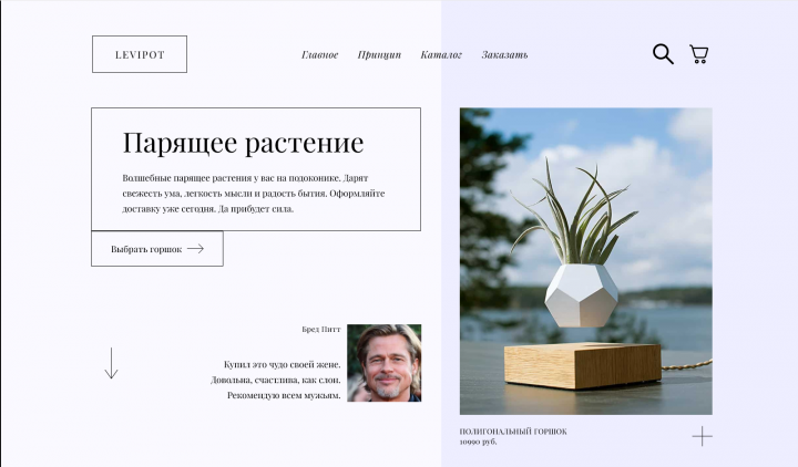 Копия дизайна "Парящих растений"