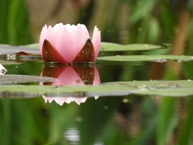 Работа 4124246