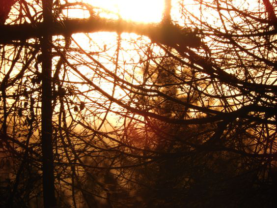 Работа 4124243