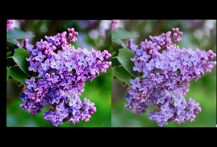 Работа 4130677