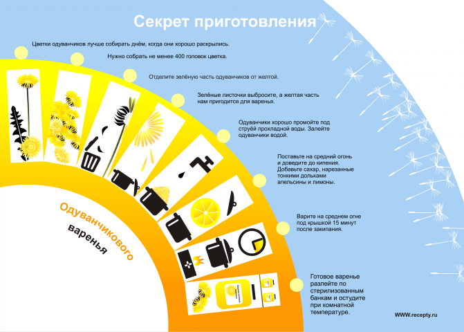 Секрет приготовления одуванчикового варения