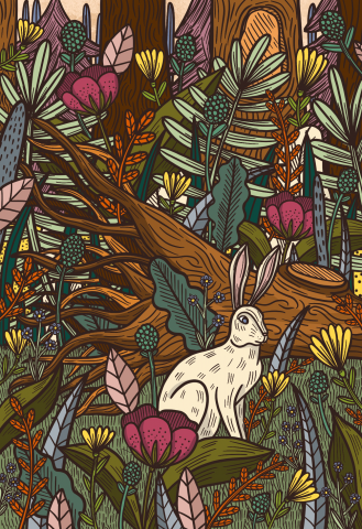 Bunny