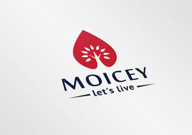 лого "Moicey"