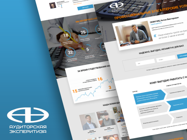 Аудиторская экспертиза
