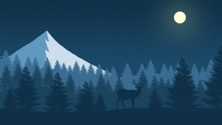 2D landscape (Night)