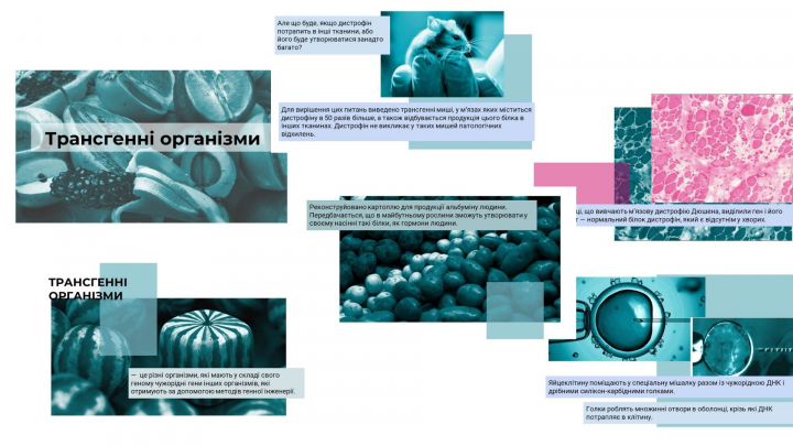 Работа 4132929