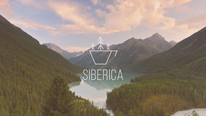 Фирменный стиль для кофейни "Siberica"