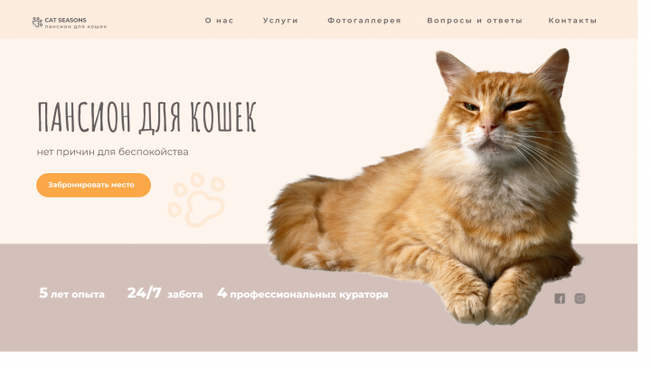 сайт для пансиона кошек