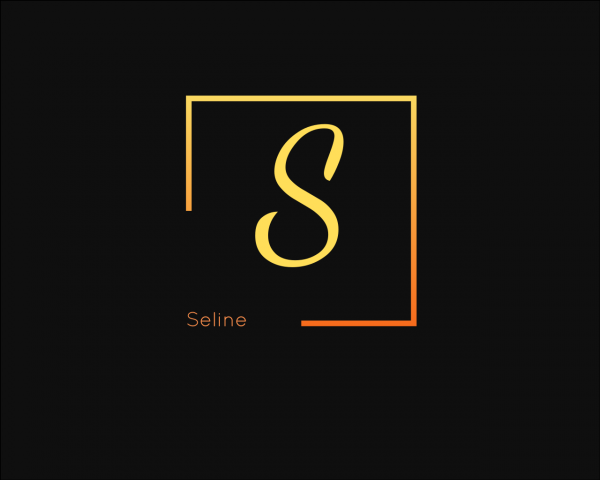 Логотип для бренда Seline