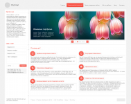 SiteWork студия