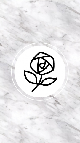Instagram Icon