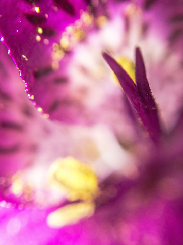 Работа 4131011