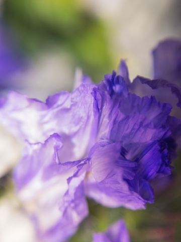 Работа 4131008