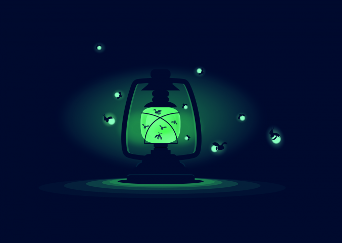 Fireflies