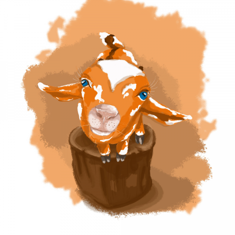 Работа 4115936