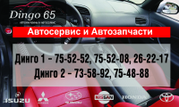 модуль Dingo65