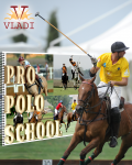 баннер для сайта VLADI POLO Academy