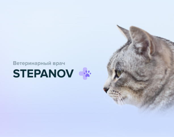 Veterinary clinic Stepanov website design