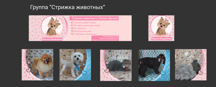Группа Вконтакте "Стрижка животных"