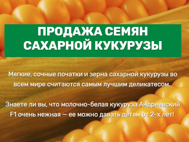 СЕМЕНА КУКУРУЗЫ