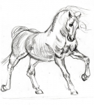 Рисунок лошади3