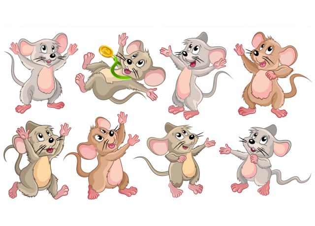 Sports Olympiad for animals mouse