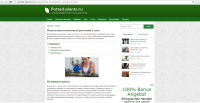 Подготовка комнатных растений к лету - Potted-plants.ru