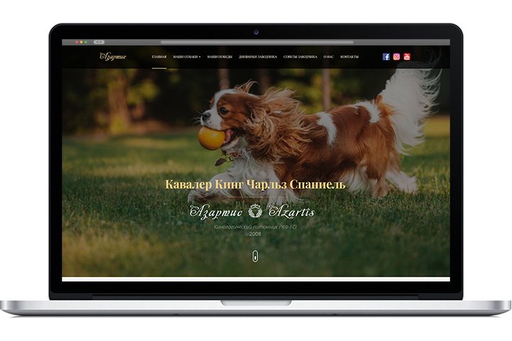 Дизайн главной страницы сайта для питомника "Азартис"