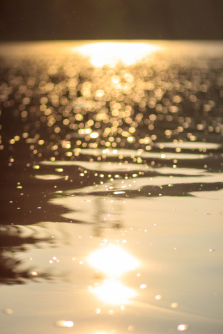 Работа 4123430