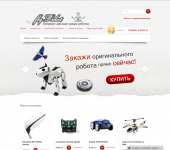 Баннер Продажа роботов для http://www.flyrobot.ru/ 4500 рублей.