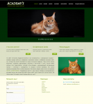 Сайт "Academy's"