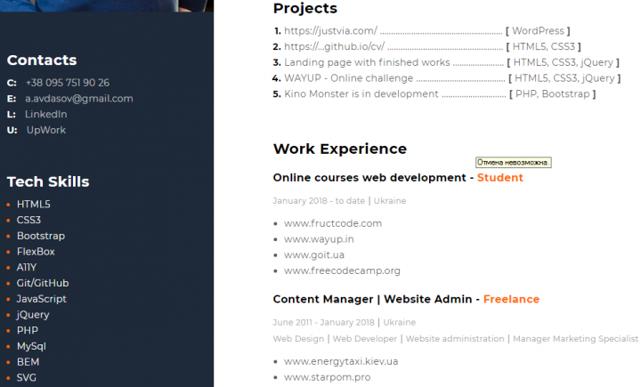 Oleksandr Avdasov - CV
